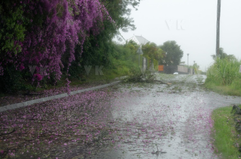 Cyclone Dumile