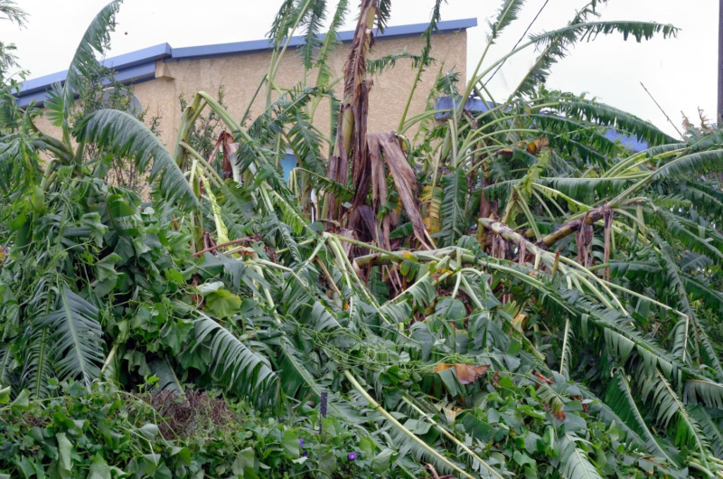 Cyclone Bejisa