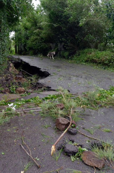 Cyclone Bejisa