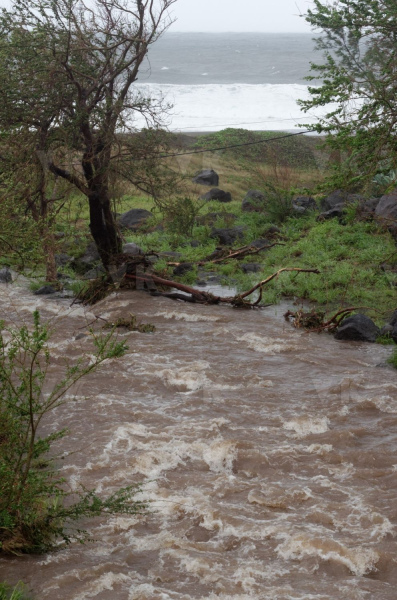 Cyclone Bejisa