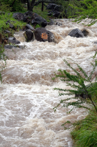 Cyclone Bejisa