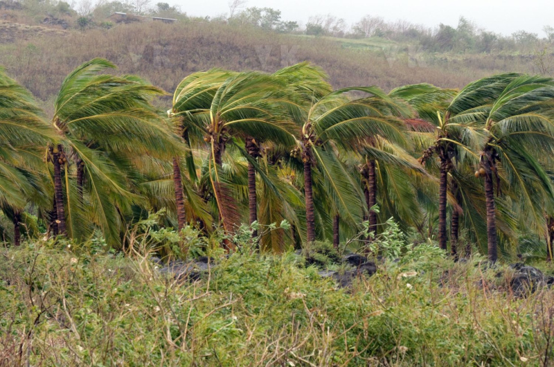 Cyclone Bejisa
