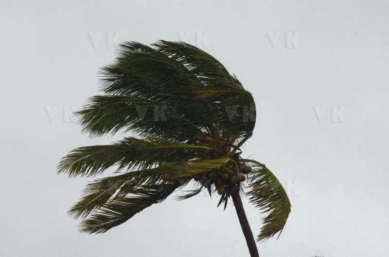 Le sud de La Reunion est impacte par la forte tempete tropicale Berguitta, qui amene vent et fortes precipitations. Le meteore passe actuellement au plus pres de l'ile et devrait commencer a s'eloigner en debut de soiree. The south of La Reunion is impacted by the strong tropical storm Berguitta, which brings wind and heavy precipitation. The meteore is currently passing close to the island and should begin to move early in the evening.