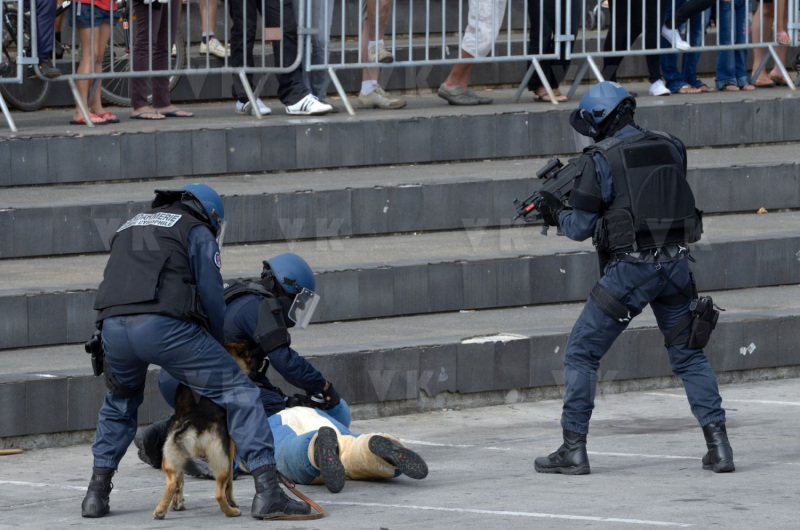 Journees de la Securite interieure