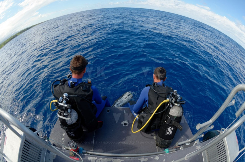 Immersion avec la brigade nautique de la gendarmerie de La Reunion