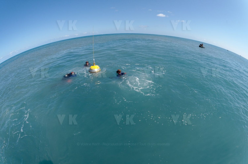 Immersion avec la brigade nautique de la gendarmerie de La Reunion