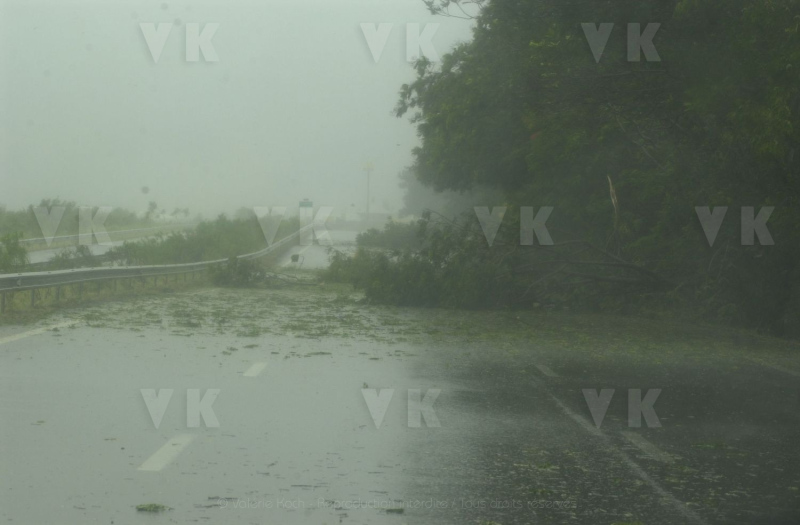 Cyclone Dina