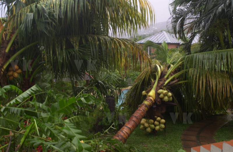 Cyclone Dina