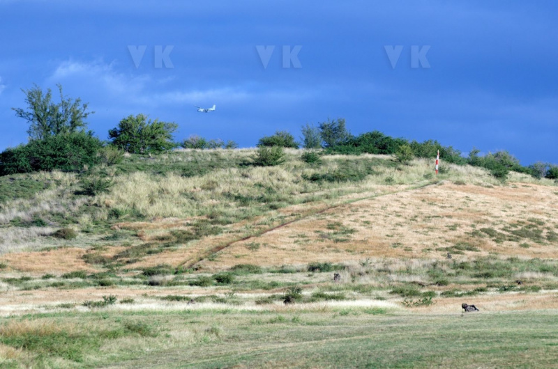 Exercice militaire parachutistes 2e RPIMa