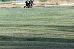 Exercice militaire parachutistes 2e RPIMa