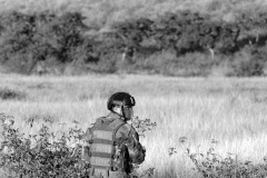 Exercice militaire parachutistes 2e RPIMa