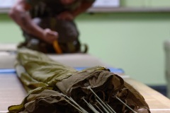 Militaires parachutistes