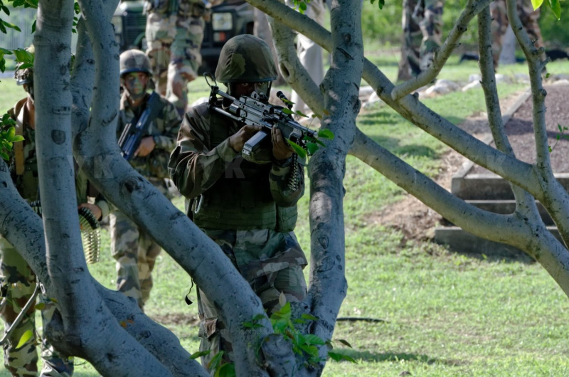 2e RPIMa Demonstration militaire parachutiste