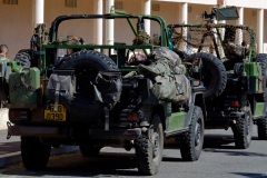 2e RPIMa Demonstration militaire parachutiste