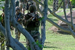 2e RPIMa Demonstration militaire parachutiste