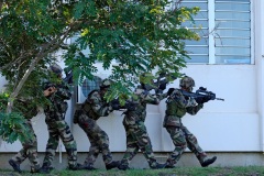 2e RPIMa Demonstration militaire parachutiste