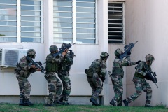 2e RPIMa Demonstration militaire parachutiste