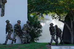 2e RPIMa Demonstration militaire parachutiste