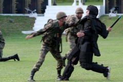 2e RPIMa Demonstration militaire parachutiste