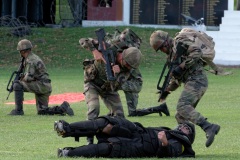 2e RPIMa Demonstration militaire parachutiste