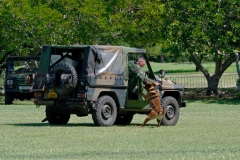 2e RPIMa Demonstration militaire parachutiste