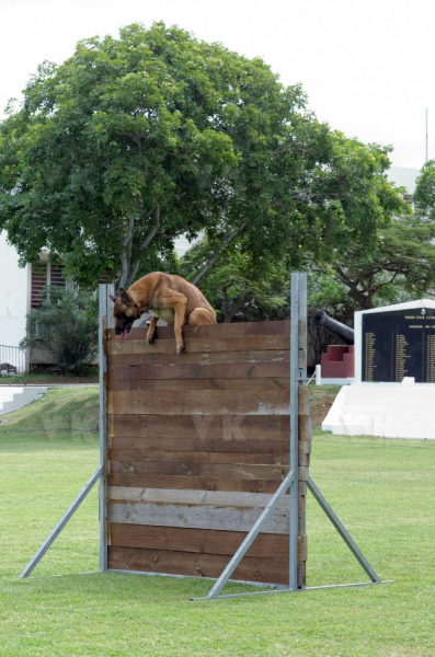 Demonstration militaires parachutistes 2e RPIMa