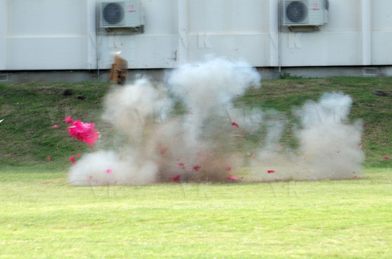 Demonstration militaires parachutistes 2e RPIMa