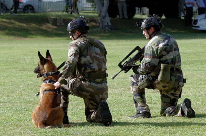 Demonstration militaires parachutistes 2e RPIMa