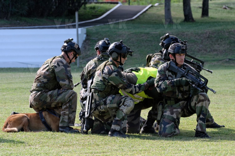 Demonstration militaires parachutistes 2e RPIMa
