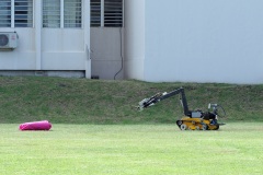 Demonstration militaires parachutistes 2e RPIMa