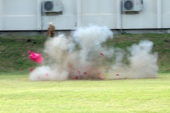 Demonstration militaires parachutistes 2e RPIMa
