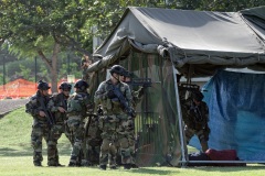 Demonstration militaires parachutistes 2e RPIMa
