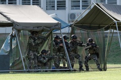 Demonstration militaires parachutistes 2e RPIMa