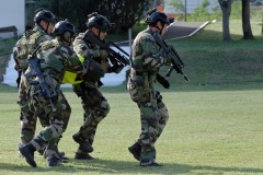 Demonstration militaires parachutistes 2e RPIMa