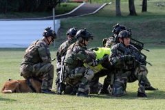 Demonstration militaires parachutistes 2e RPIMa