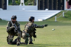 Demonstration militaires parachutistes 2e RPIMa