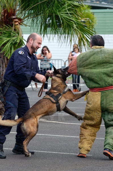 4e Rencontres de la securite