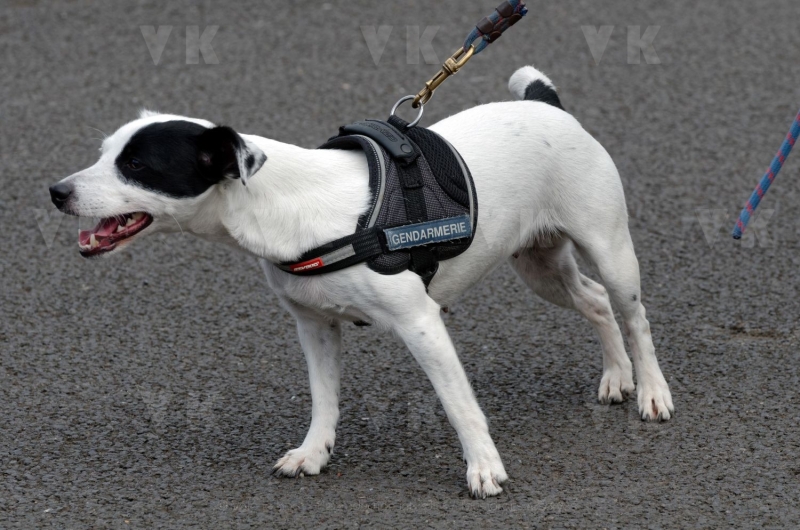 4e Rencontres de la securite