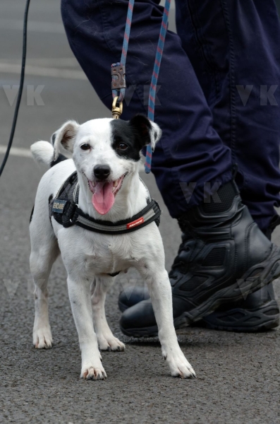 4e Rencontres de la securite