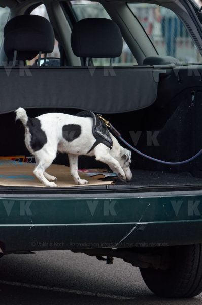 4e Rencontres de la securite