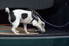 4e Rencontres de la securite