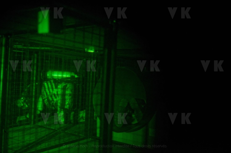 Antenne GIGN en recyclage ARI