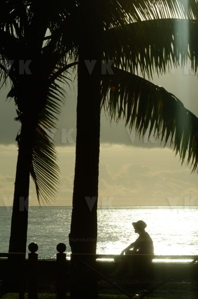 Silhouette sur le Barachois