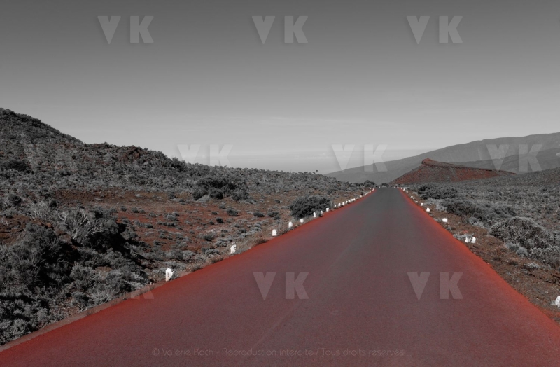 Route forestiere du volcan