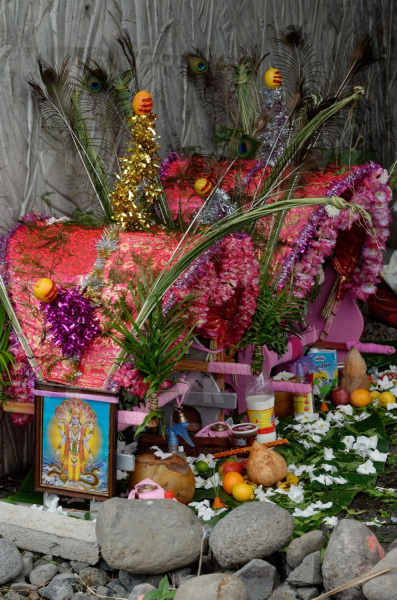 Celebration du Tai Poussam Cavadee a Saint-Louis, La Reunion