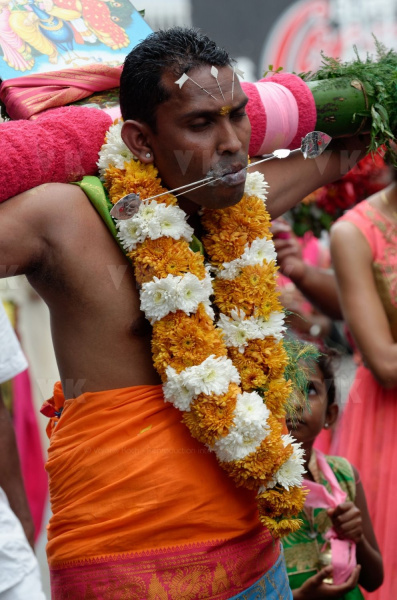 Celebration du Tai Poussam Cavadee a Saint-Louis, La Reunion