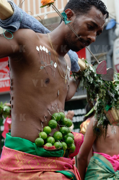 Celebration du Tai Poussam Cavadee a Saint-Louis, La Reunion