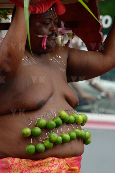 Celebration du Tai Poussam Cavadee a Saint-Louis, La Reunion