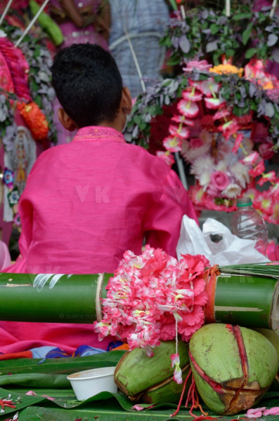 Celebration du Tai Poussam Cavadee a Saint-Louis, La Reunion
