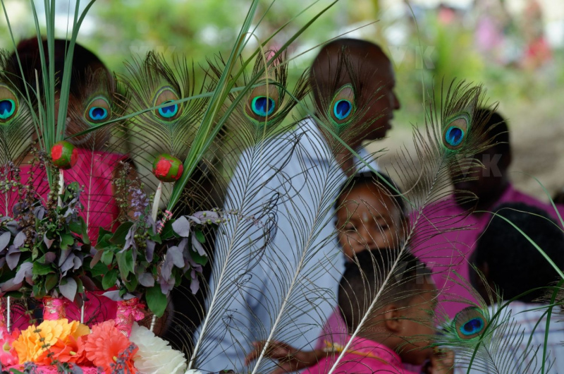 Celebration du Tai Poussam Cavadee a Saint-Louis, La Reunion